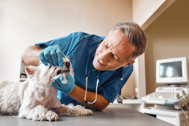 Best Emergency Tooth Extraction in Heritage Hills, NY